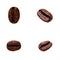 Four single coffee beans