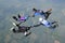 Four skydivers holding hands