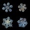 Four snowflakes isolated on black background