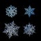 Four snowflakes isolated on black background