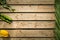 Four species, symbols of Jewish holiday Sukkot