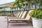 Four sun loungers by the poolwith palms. Florida
