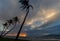 Four tall palm trees are silhouetted against the setting sun.