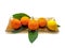 Four tangerines and a lemon lie on a rectangular glass brown platter.