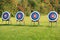 Four targets