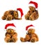Four teddy bears wearing the santa hat