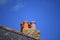 Four terracotta roof chimneys with blue sky background