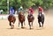 Four thoroughbred racehorses in motion