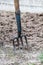 Four-tooth metal pitchfork a tool for farming stands in plowed land