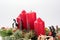 Four traditional red advent candles with christmas decoration
