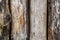 Four tree logs form a wall, close up detail. Textured wood background