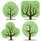 Four trees with green leaves isolated