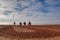 Four trees growing in the middle of plowed field.