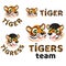 Four types of cartoon logos with tiger and tigress head and text