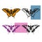 Four variants of the butterfly