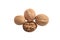 Four walnuts on white isolate background