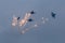 Four war jet planes in sky