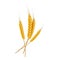 Four wheat ears icon, cartoon style