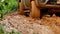 Four-wheel drive pickup truck stuck in the mud and trying to get out of the quagmire