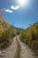 Four wheel drive road [Medano Pass primitive road] through the Sangre De Cristo range of the Rocky Mountains in Colorado United