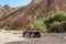 Four wheeled all terrain vehicle quad in the desert against the backdrop of palm trees and stone rocks in Egypt Dahab South Sinai