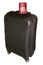 Four wheeled suitcase with passport