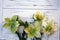 Four Whimsical white and green flowers on wood