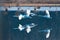 Four White Swam Flying Over Still Blue Water