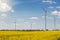 Four wind turbines stand on a flowering canola field, the concept of clean energy