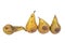 Four worm pears Maggot Larva Eating damaged Apple on White Background