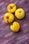 Four yellow organic apples from semi-wild cultivation