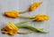 Four yellow tulips in arrangement on a grey board