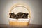 Four Yorkshire Terrier puppies in a wicket basket