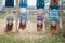 Four young funny teenage girls hanging upside down