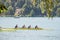 Four young male adults, rowers, on a coxed four, a rowing boat, training for rowing for an aviron competition on the Bled lake