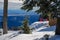 Four young skiers are enjoying a rest and the view