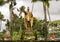 Fourteen-foot bronze statue of King Kamehameha in Wailoa River State Park in Hilo on the big island, Hawaii.