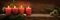 Fourth  Sunday in Advent, four burning red candles in a row, fir branches and Christmas decoration on dark rustic wood, wide