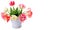 Fowers tulips in decorative bucket on white background. Free space for text. Wide photo