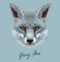 Fox animal face. Vector cute grey head. Realistic winter fur grey wild fox portrait isolated on blue background.