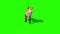 Fox Attacks Front Green Screen 3D Rendering Animation Animals