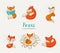 Fox characters, cute, lovely illustrations