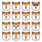 Fox emotional emoji square flat faces icon
