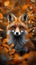 Fox in fall A curious red fox peeking from autumn foliage