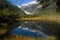 Fox Glacier Reflection