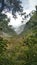 Fox glacier walkway next to glacier view point