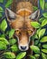 Fox looking out of foliage original art