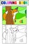 Fox looks out behind the tree. Set of coloring book and color picture.