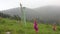 foxgloves in a windy day in the mountains