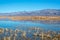 Foxtail Lake Wetlands Reflection